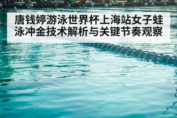 competitive swimming pool lanes